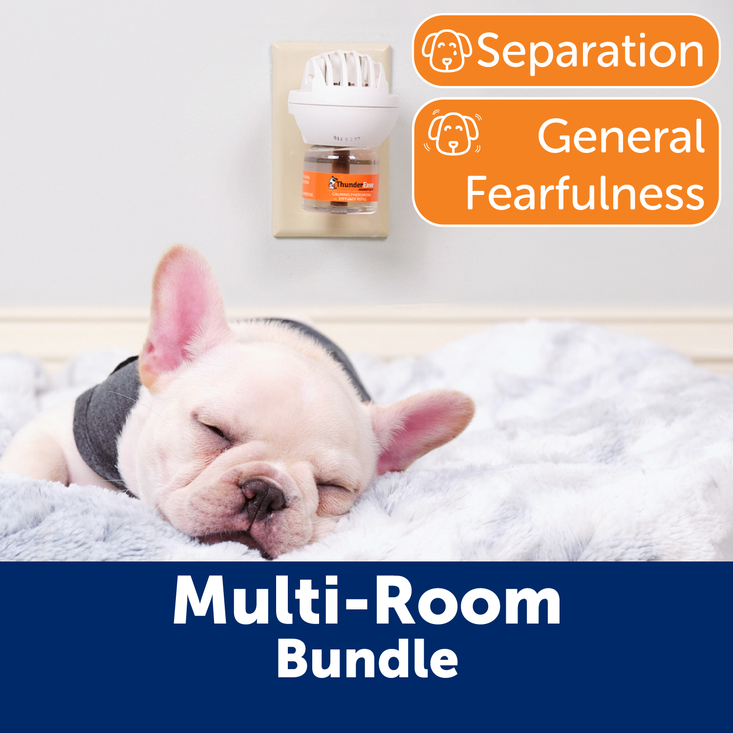 02-Multi-Room_Bundle-Uses.png