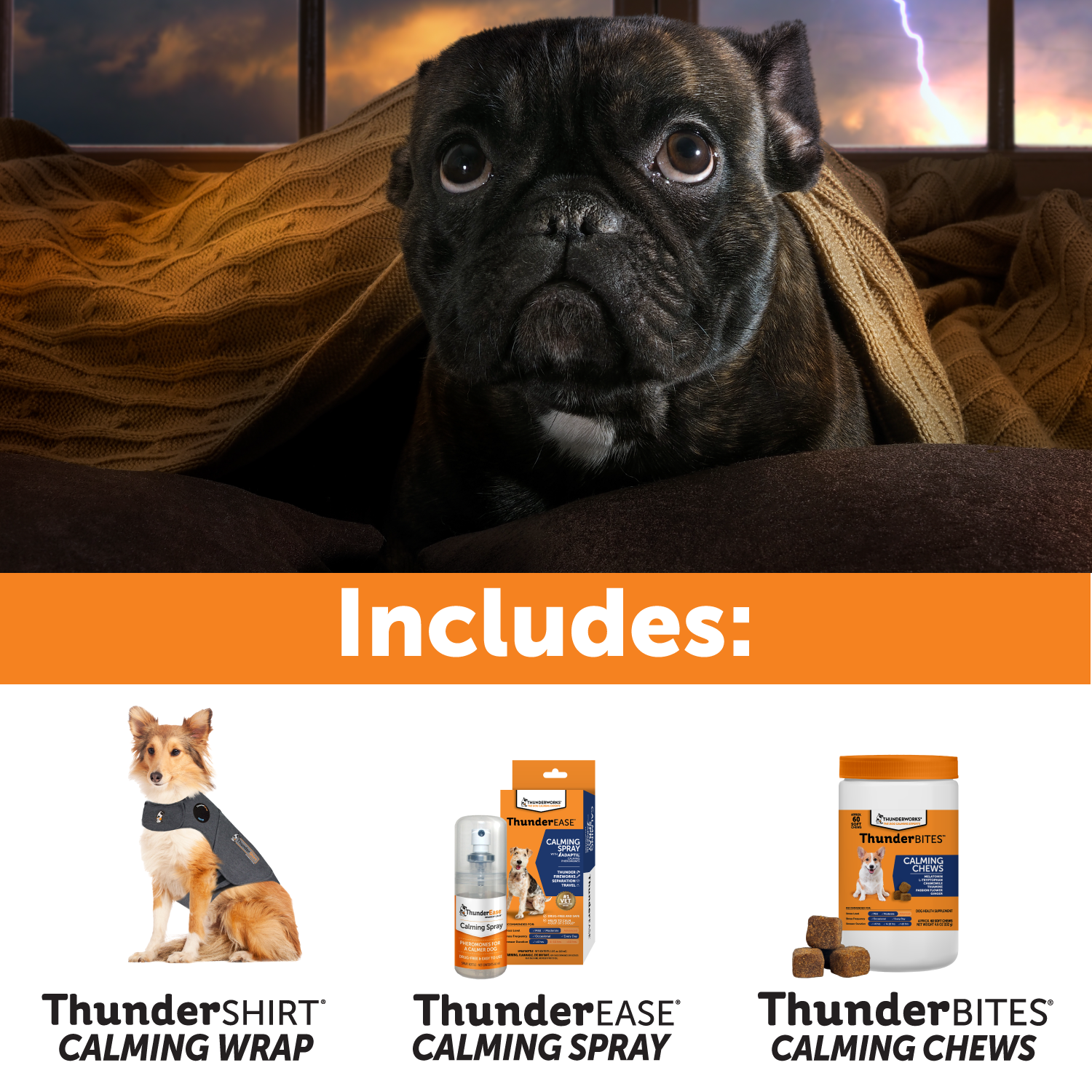 03-Storms-Fireworks-Survival-Kit-alt_b5a9921f-75e4-4855-8b7a-e5852b51c93c.png
