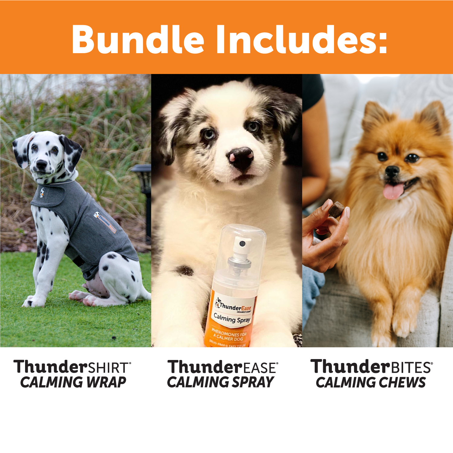 03-Storms-Fireworks-Survival-Kit.png