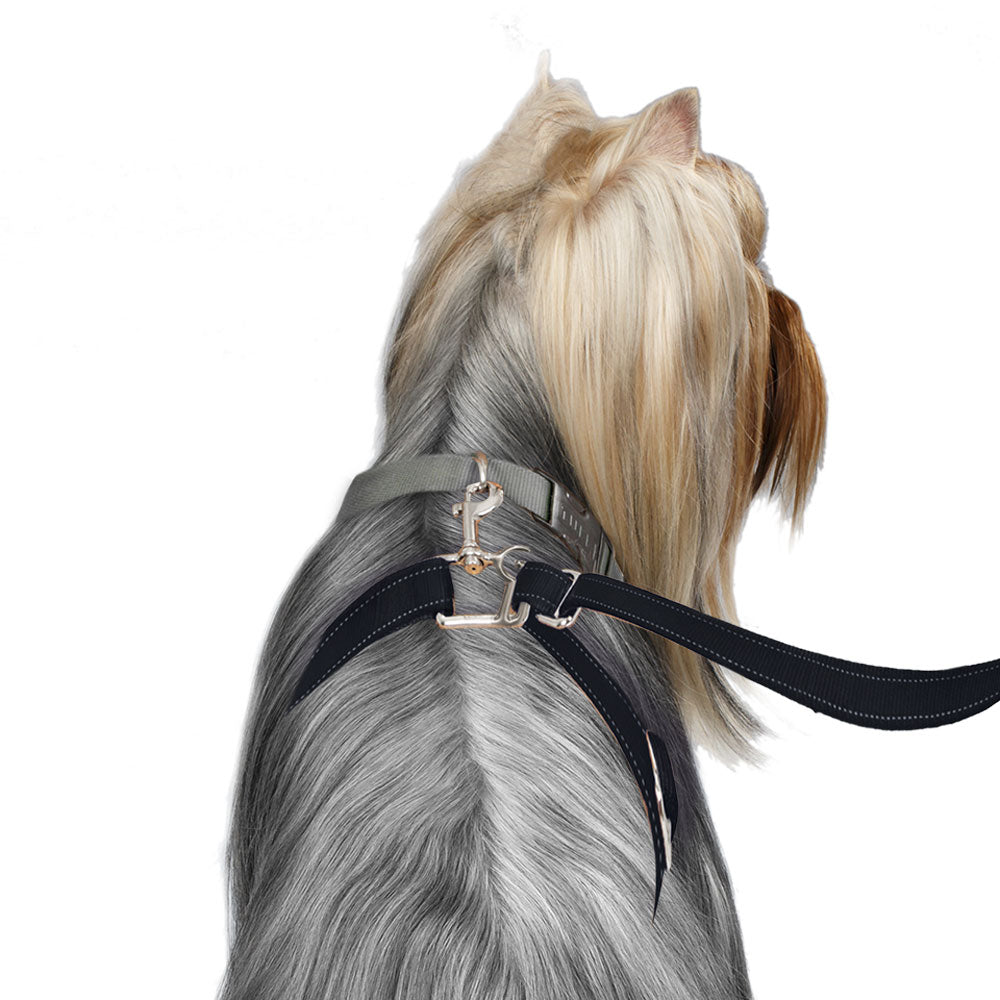 04_-_ThunderLeash_Standard_No-Pull_Leash_for_Dogs_-_Black_-_Dog_using_Leash.jpg