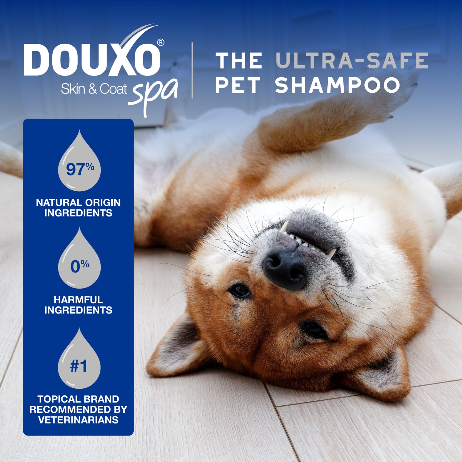 B0DQF511TX_US_DouxoSpa_Multipurpose_Wipes_ATF_PT03.jpg