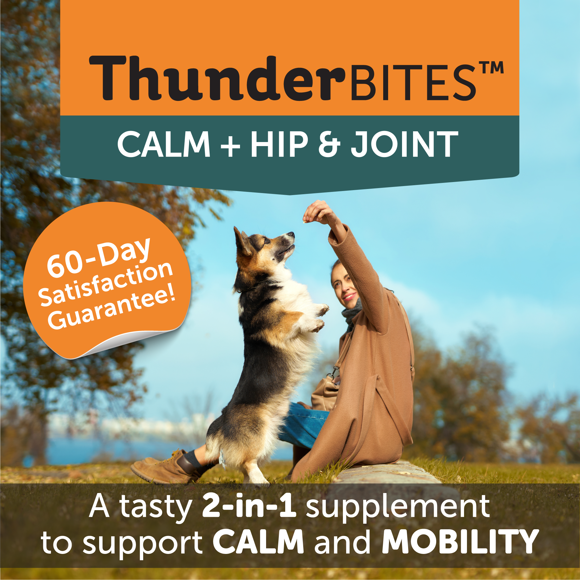 HipandJoint02_53796ef0-0f2c-440d-845d-f4c41dee741d.png