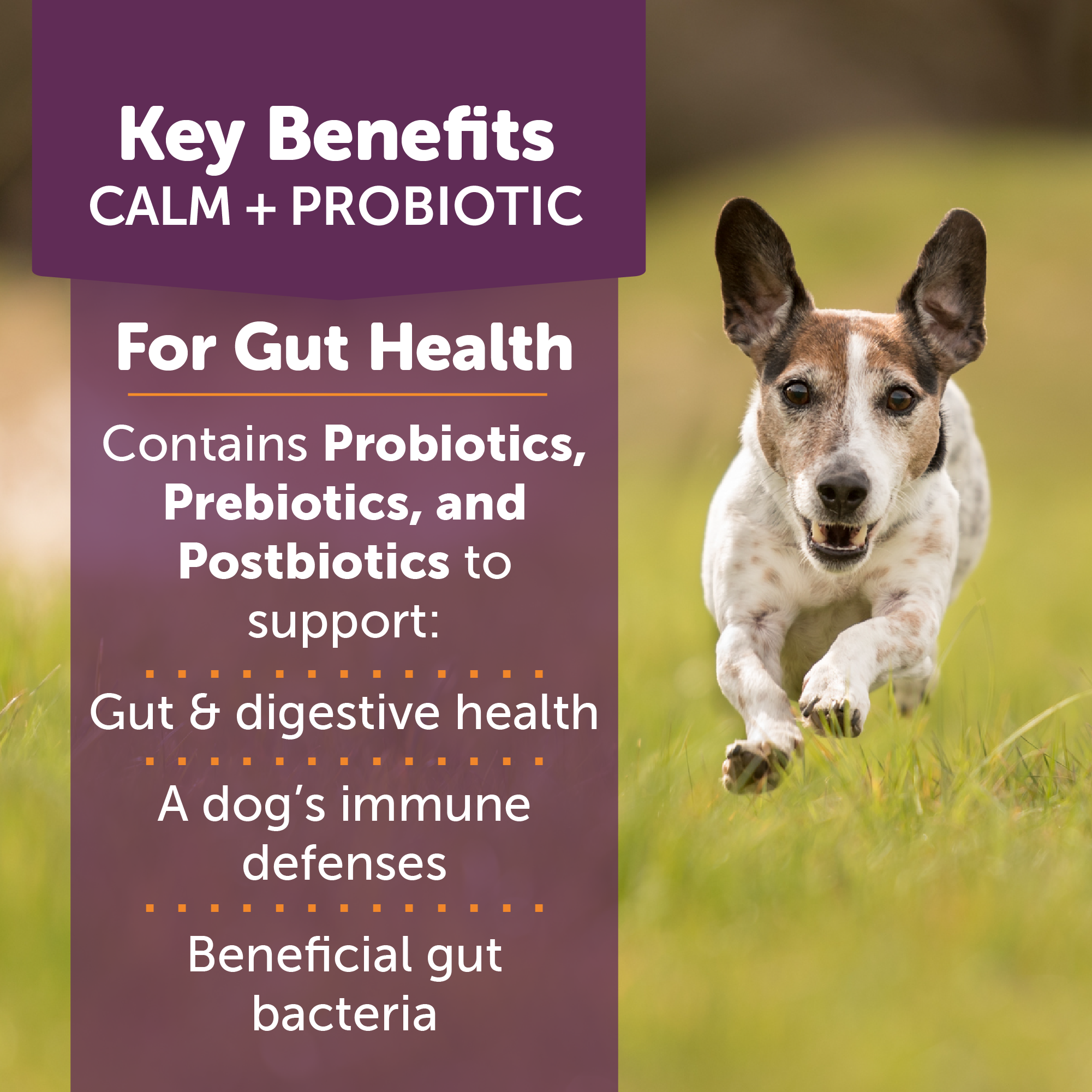 Probiotic03.png