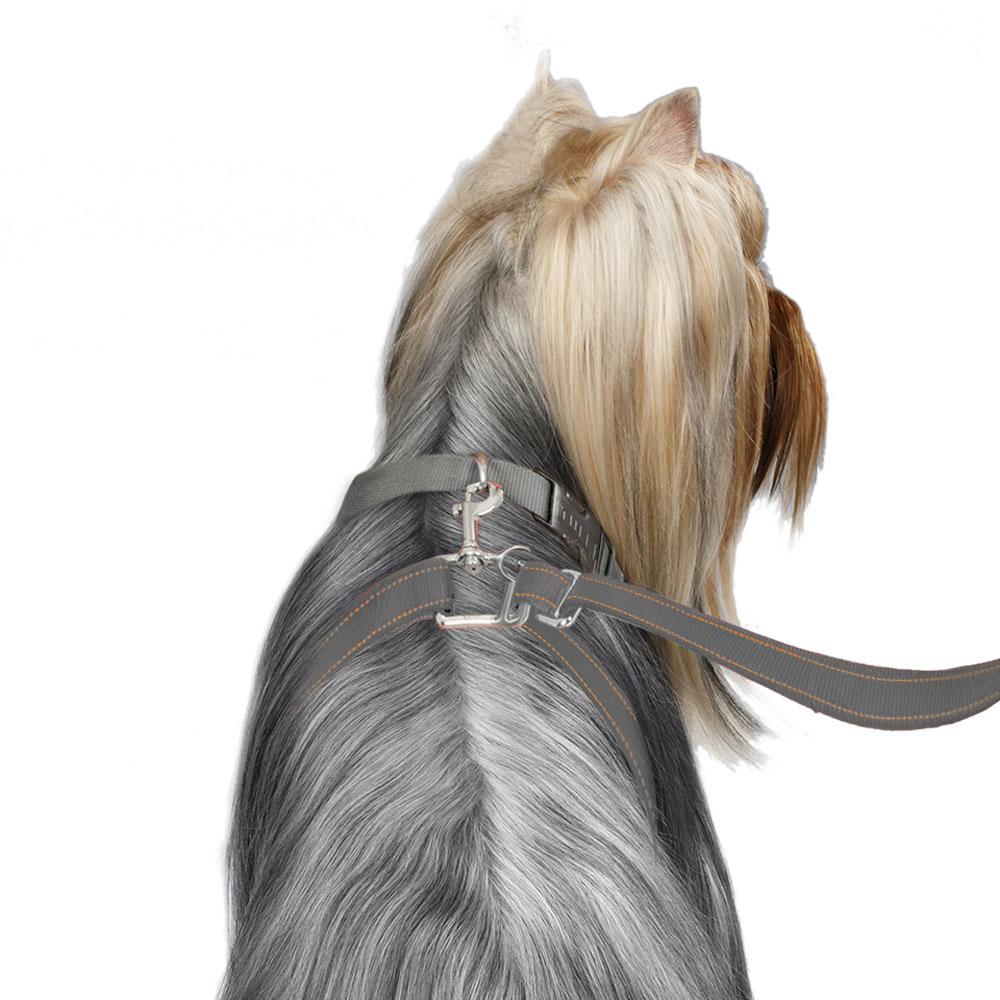 TL_Yorkie_Grey_Harness_5c24e604-b499-4601-bf82-2c79e20b5523.jpg