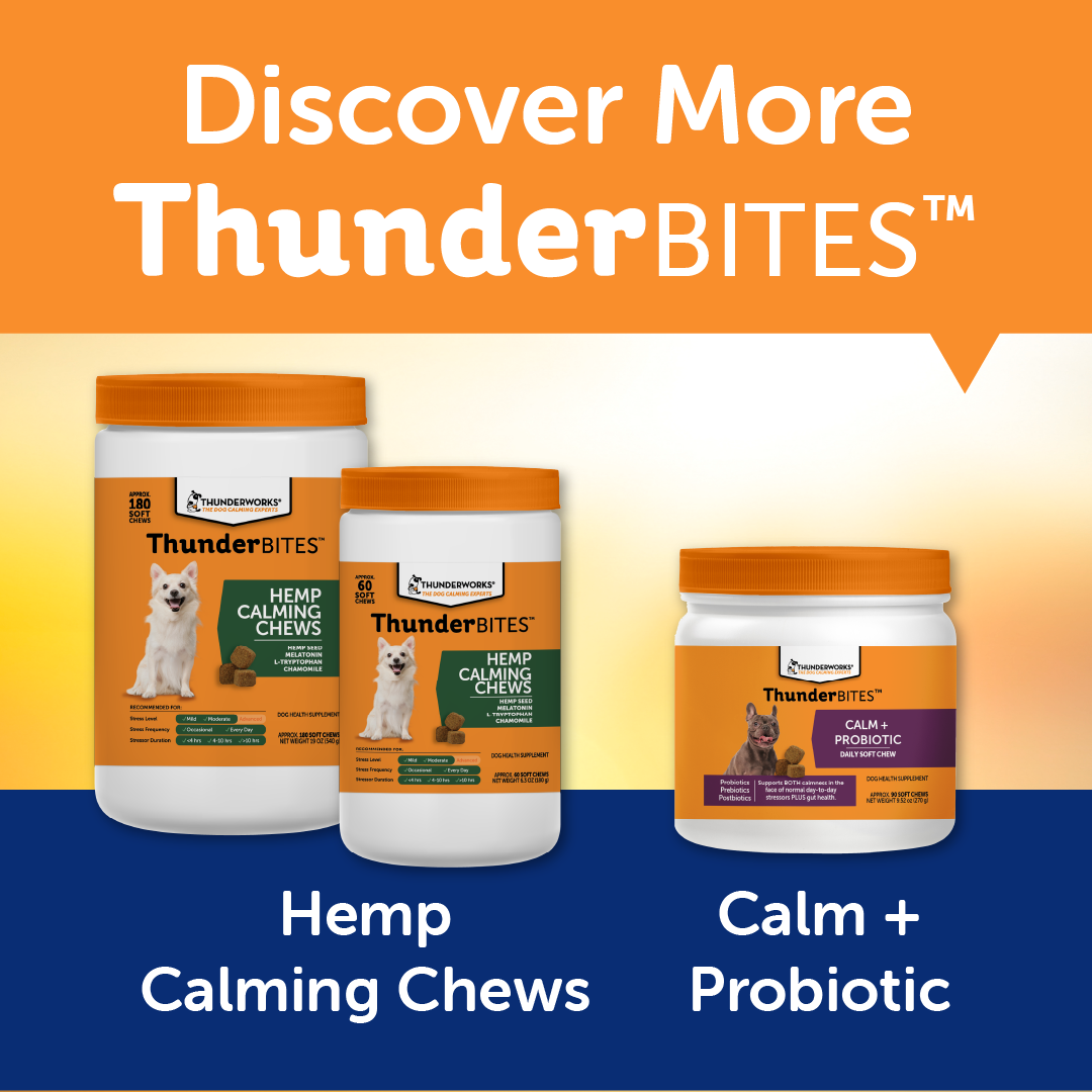 ThunderBites-B__Calm180_08.png