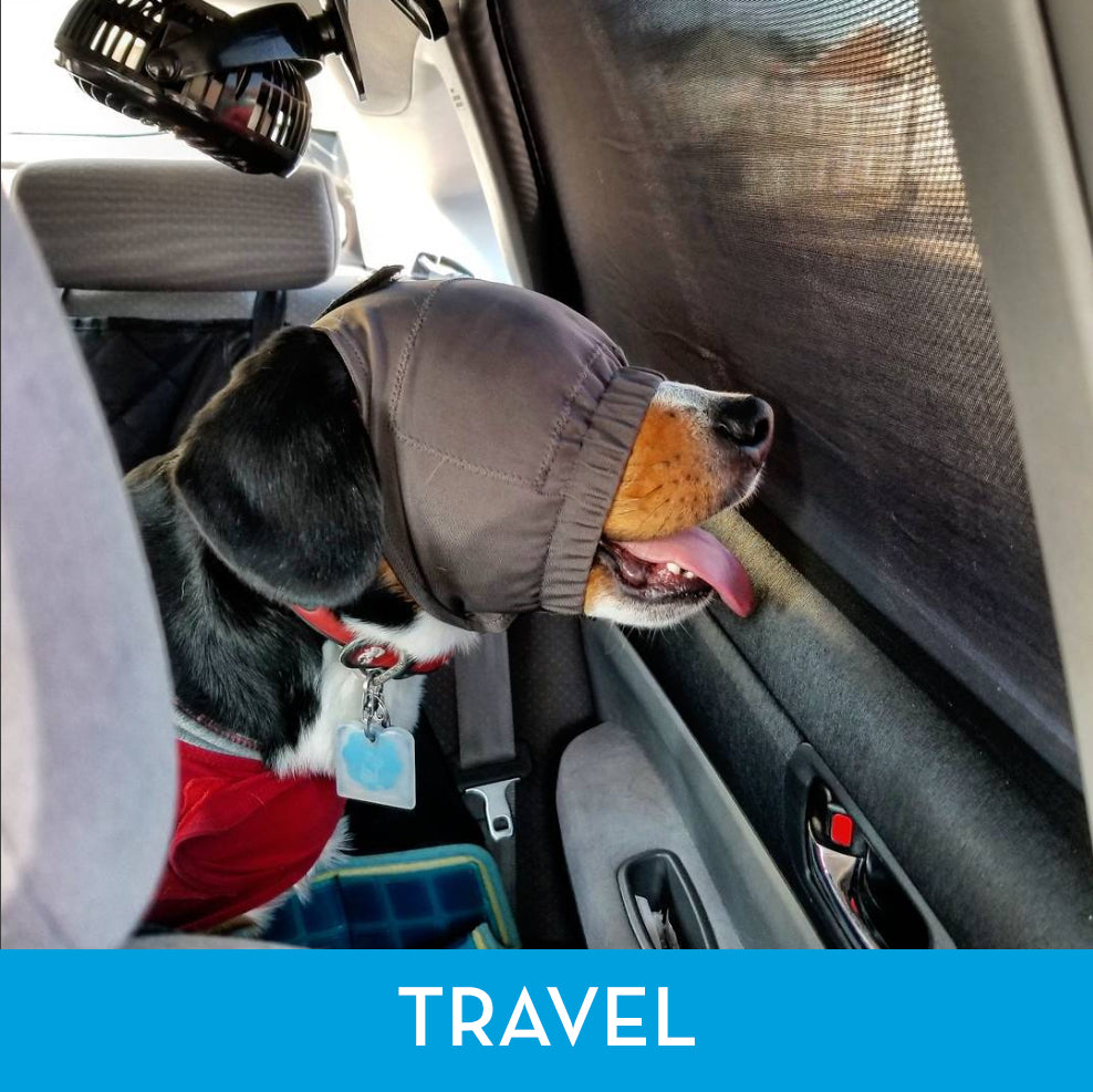 ThunderCapCalmingCapHelpsDogstostaywhileTraveling.jpg