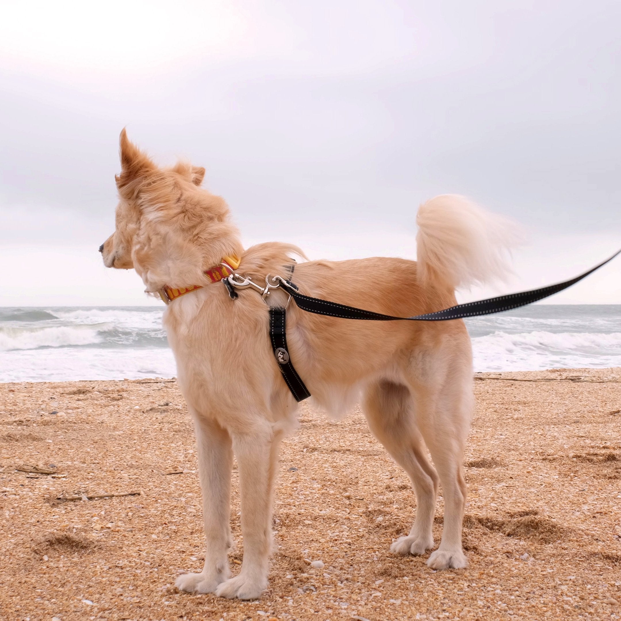 ThunderLeash_Beach_01.jpg