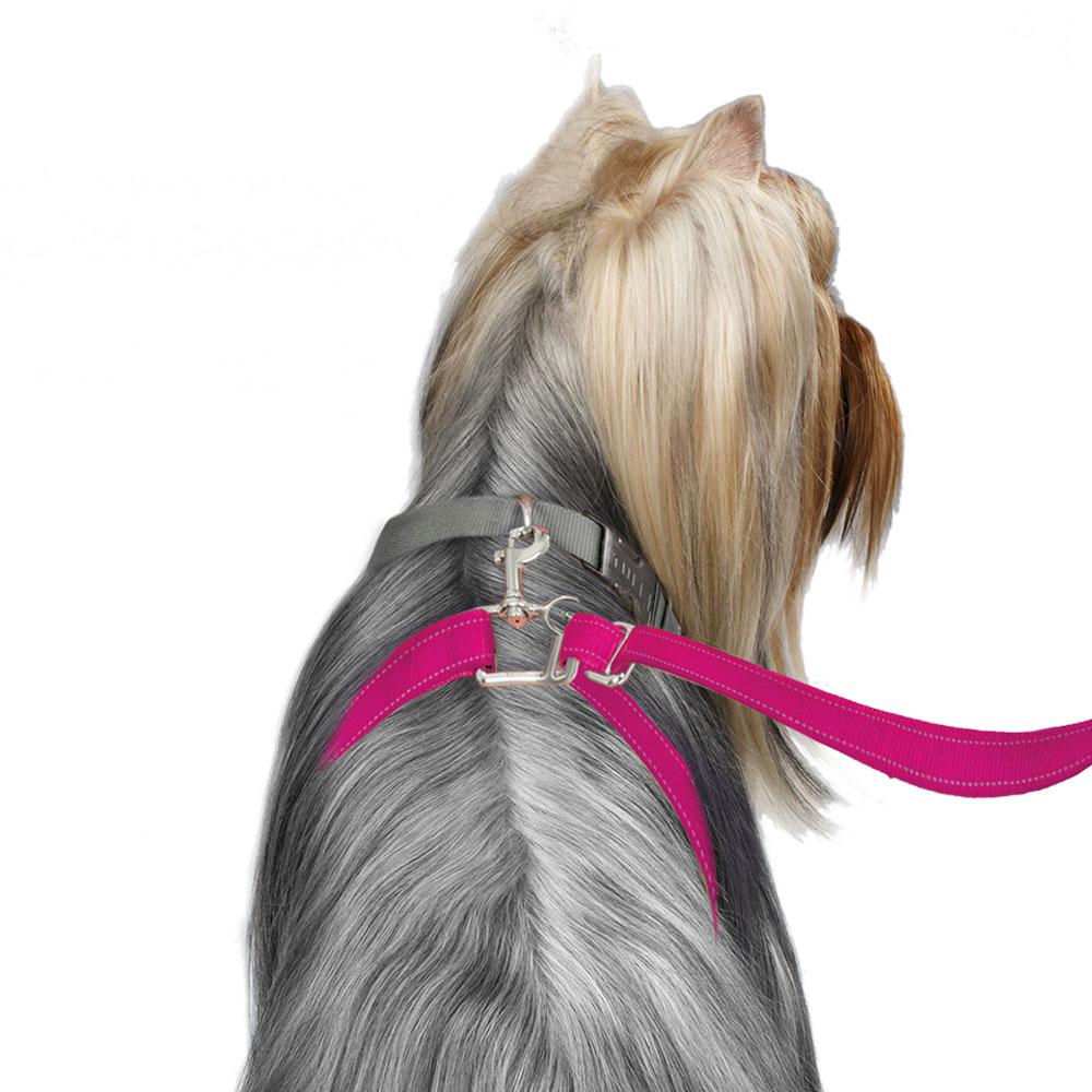 ThunderLeash_Standard_No-Pull_Leash_for_Dogs_-_Pink_-_Dog_using_Leash_ed0aca36-aaf6-46ec-a646-71a68678c658.jpg