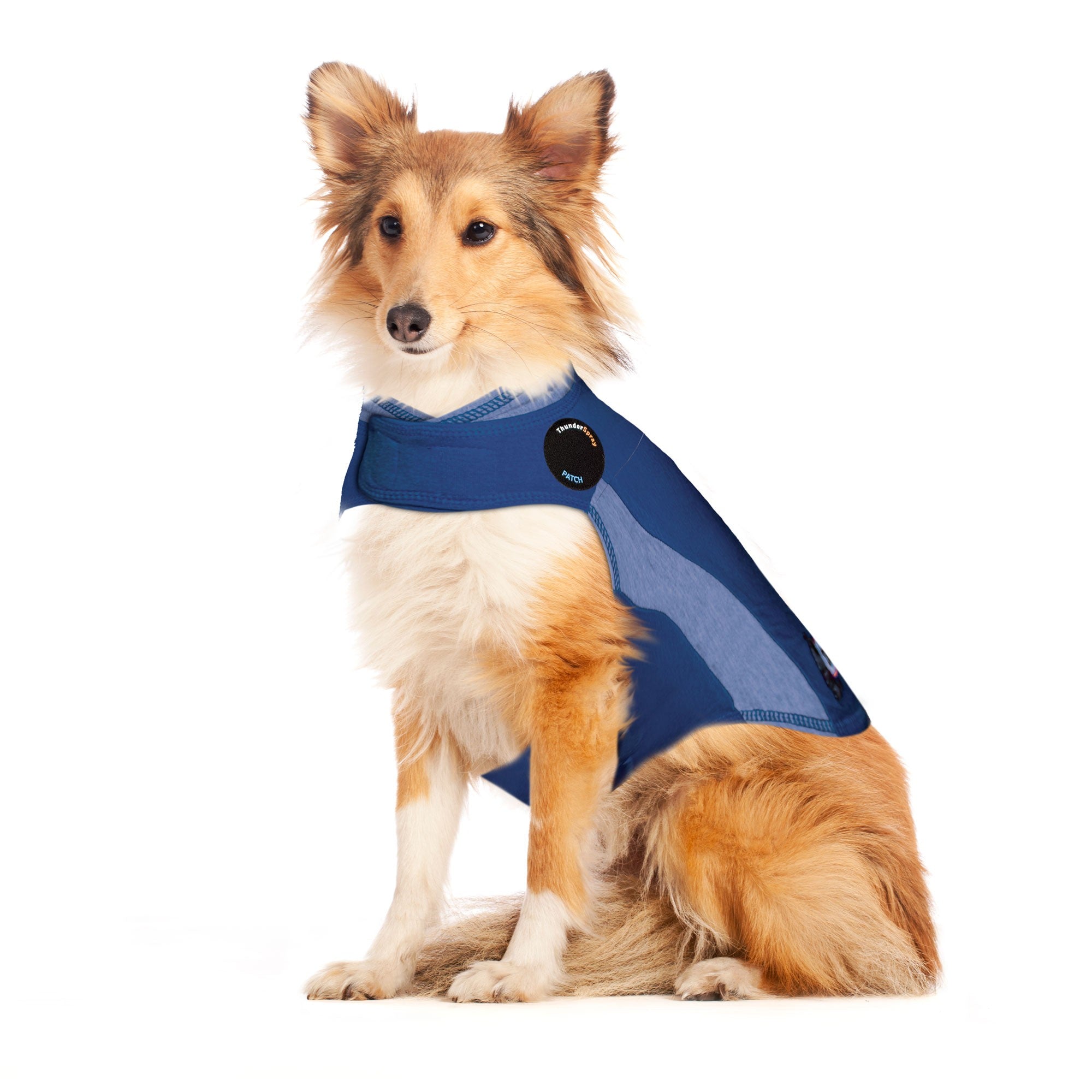 ThunderShirt_for_Dogs_-_Blue_Polo_-_Large_da43b643-ed6d-47d3-a8c9-fa09d5e93272.jpg
