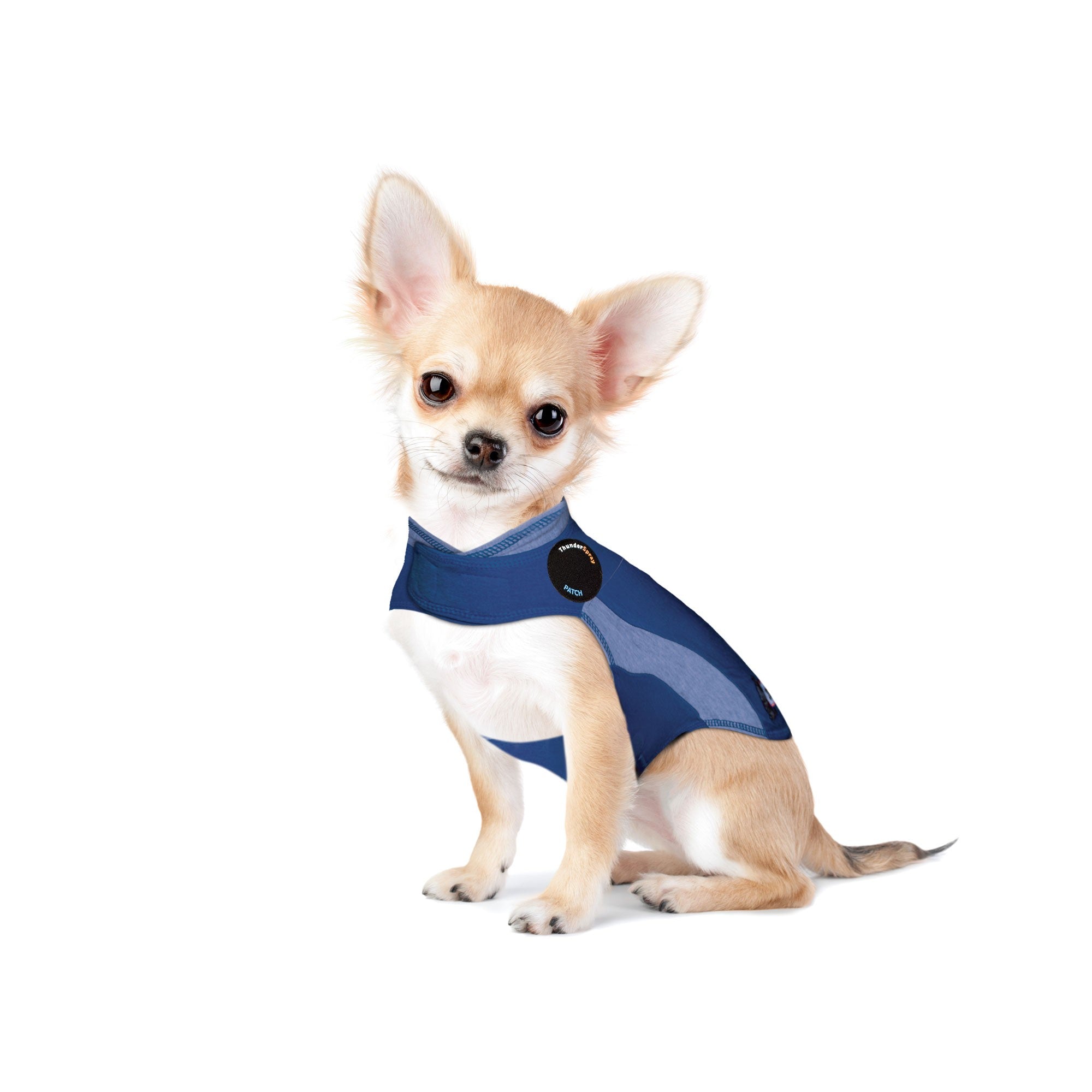ThunderShirt_for_Dogs_-_Blue_Polo_-_XX-Small.jpg