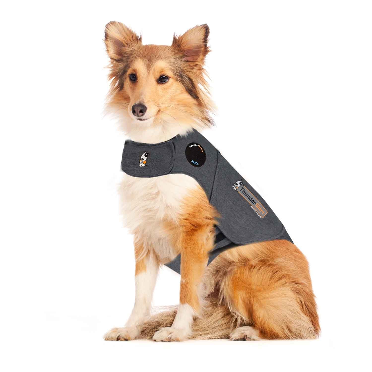 ThunderShirt_for_Dogs_-_Original_Heather_Gray.jpg