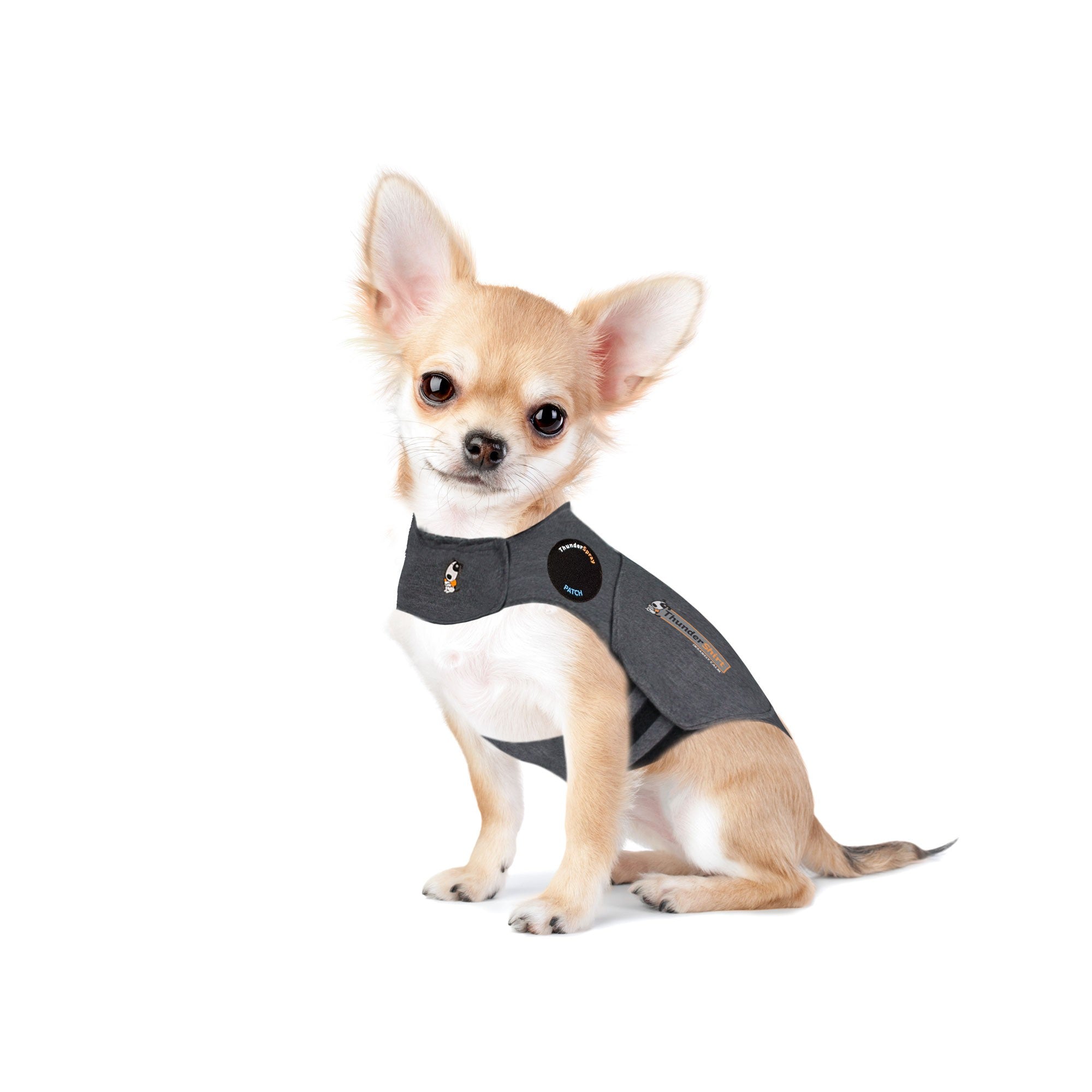 ThunderShirt_for_Dogs_-_Original_Heather_Gray_-_XX-Small.jpg