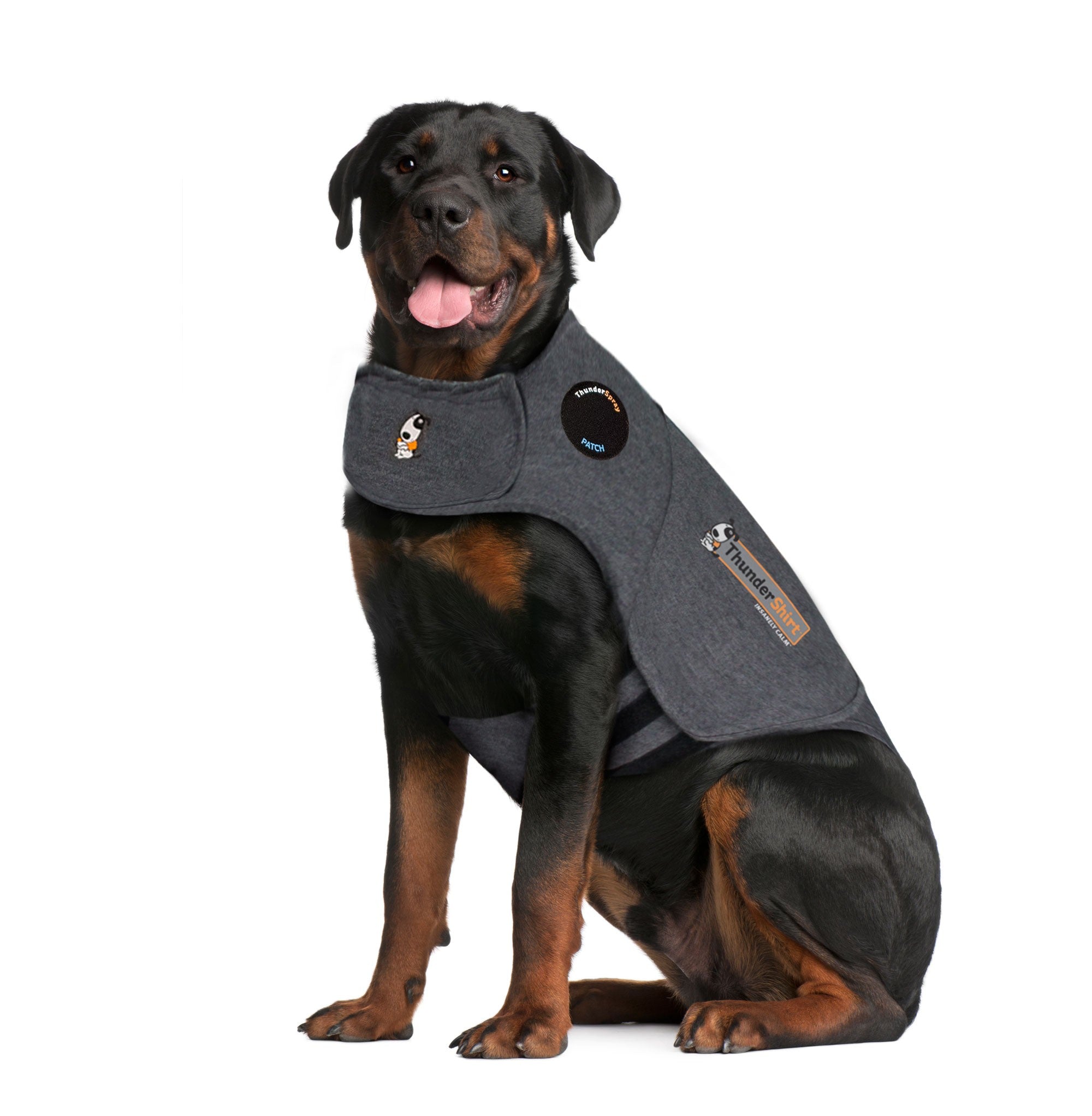 ThunderShirt_for_Dogs_-_Original_Heather_Gray_-_XXL.jpg