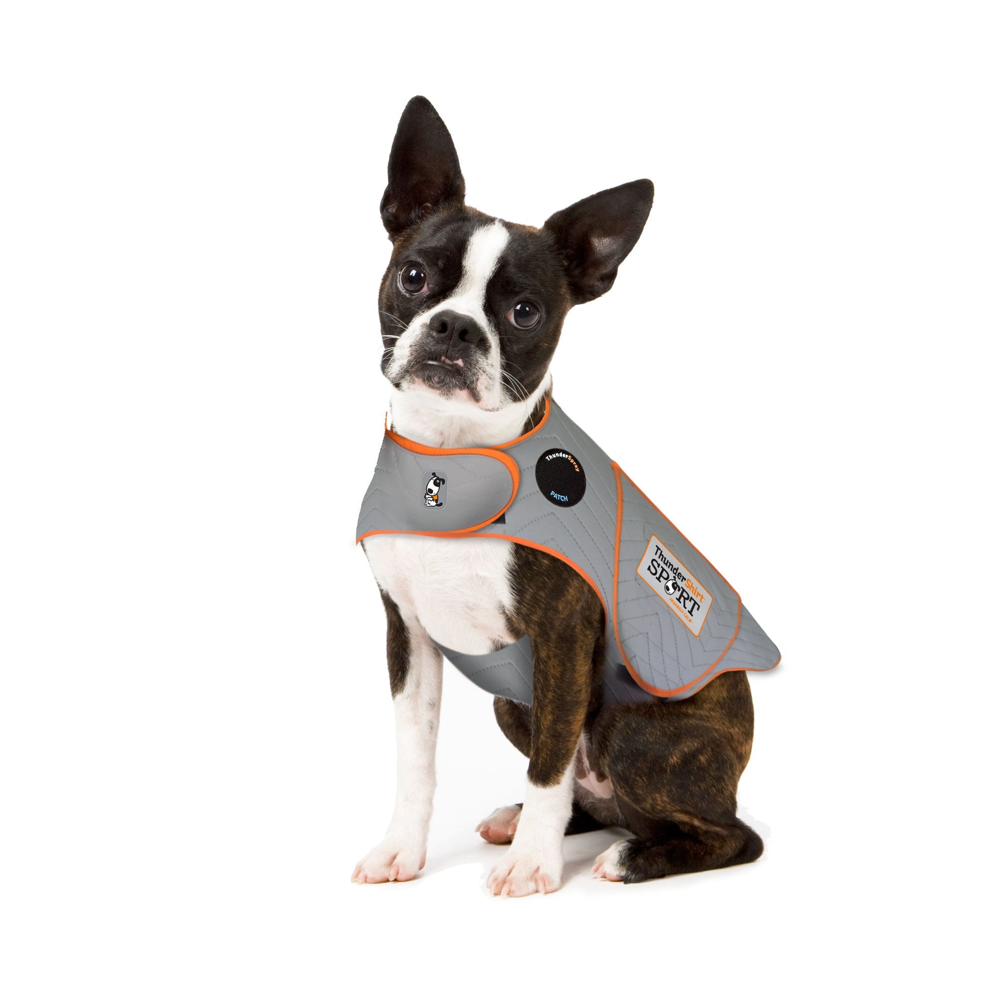 ThunderShirt_for_Dogs_-_Platinum_Sport_-XS.jpg
