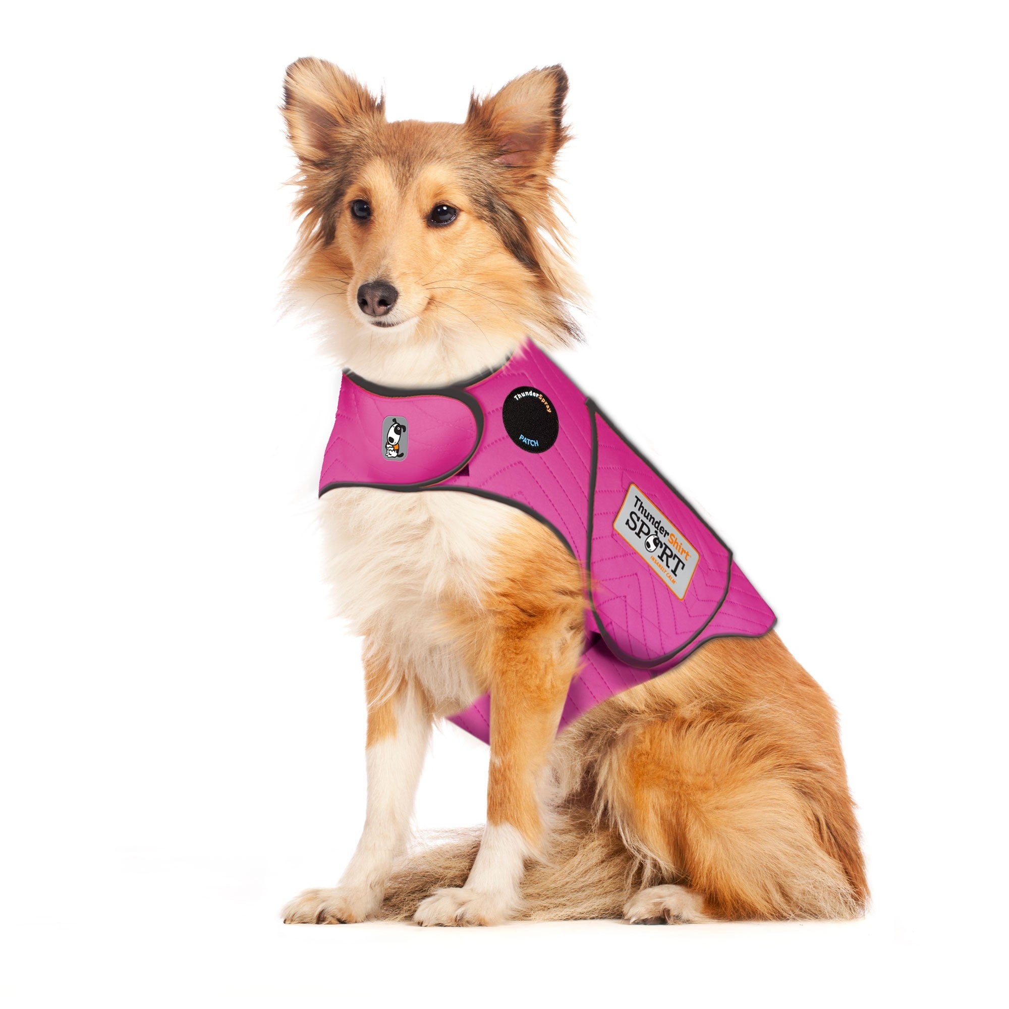 ThunderShirt_for_dogs_-_Fuchsia_Sport_-_Large_ba79f0cf-ded4-401a-ab24-1da616b02873.jpg