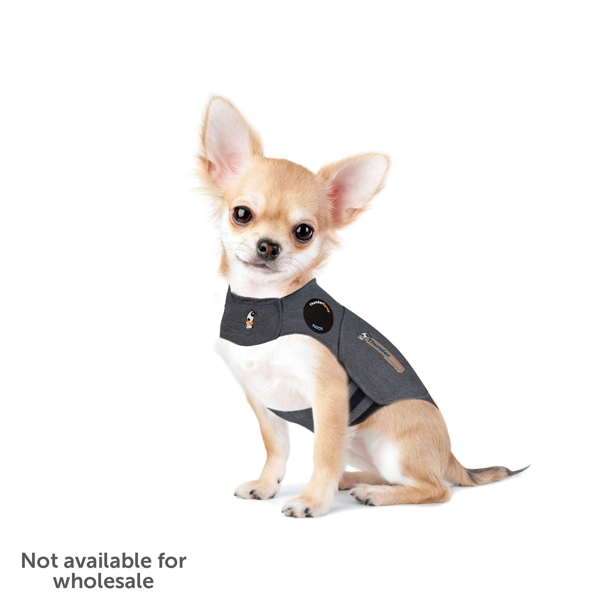 ThunderShirtforDogs-OriginalHeatherGray-XX-Small_9f704018-69be-495c-9a57-a93c977cd41e.jpg