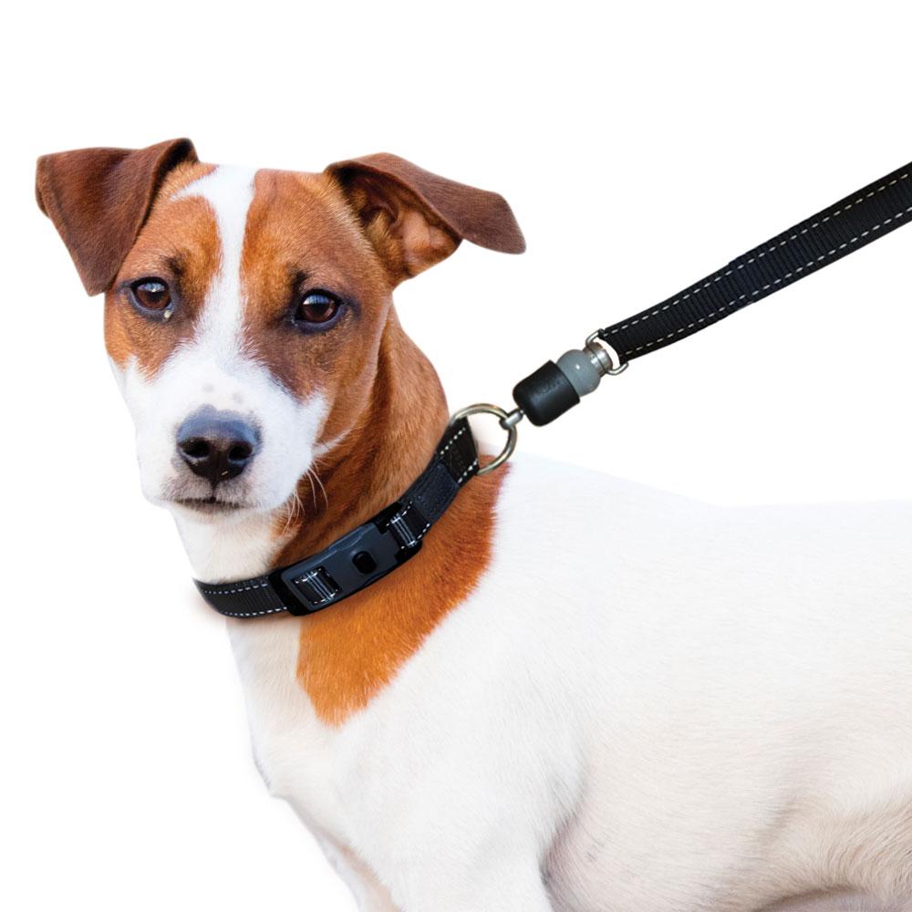 ThunderSnap_Quick_Connect_Dog_Leash-Jack-Russell-BLACK.jpg