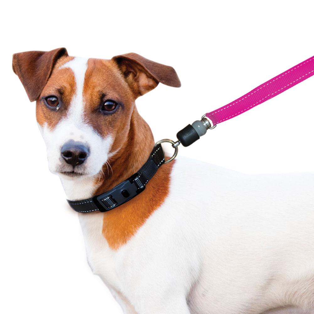 ThunderSnap_Quick_Connect_Dog_Leash-Jack-Russell-PINK.jpg