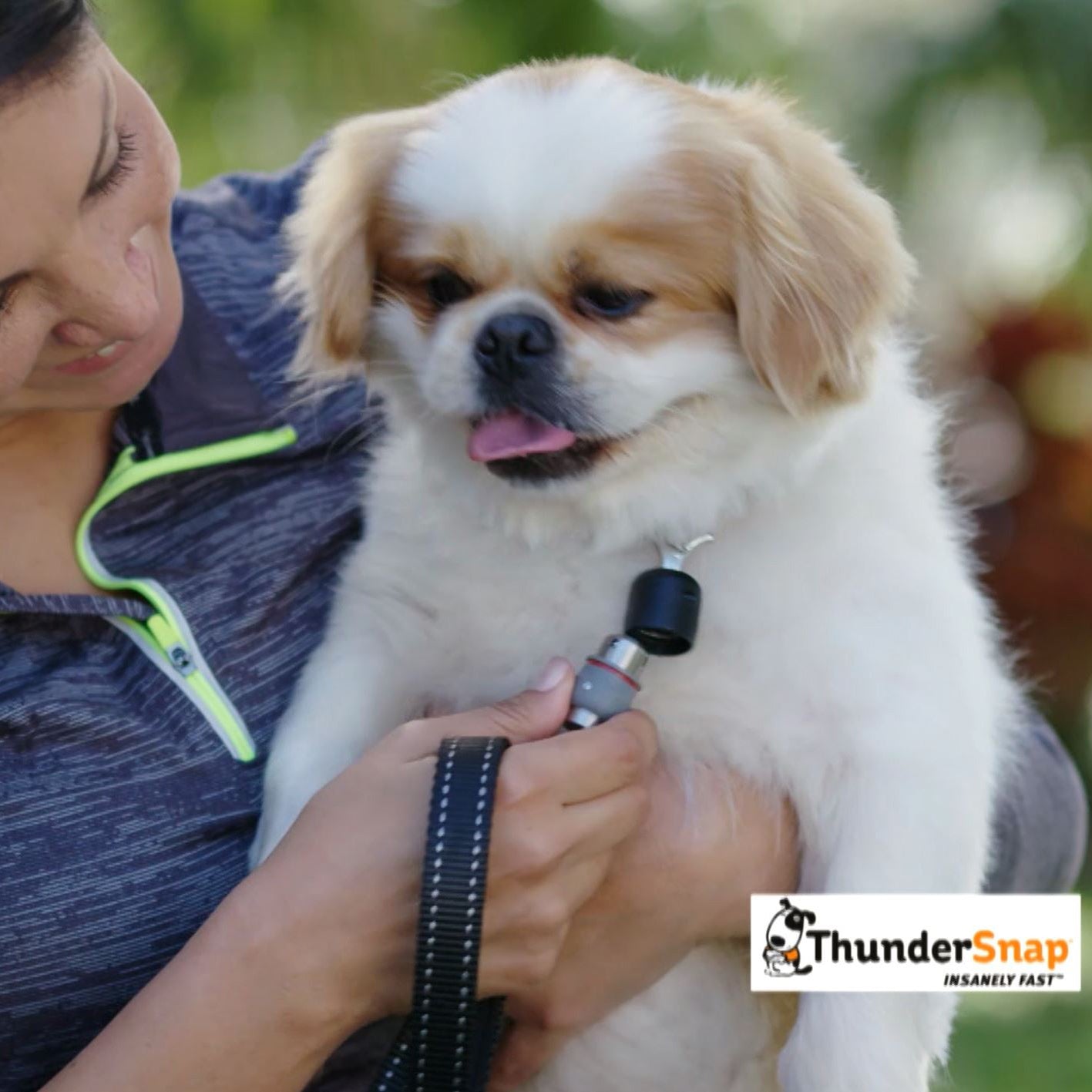 ThunderSnap_Quick_Connect_Dog_Leash_-_Lifestyle2_7bd2ad74-e219-4886-8a35-9fe06cc6c4c1.jpg